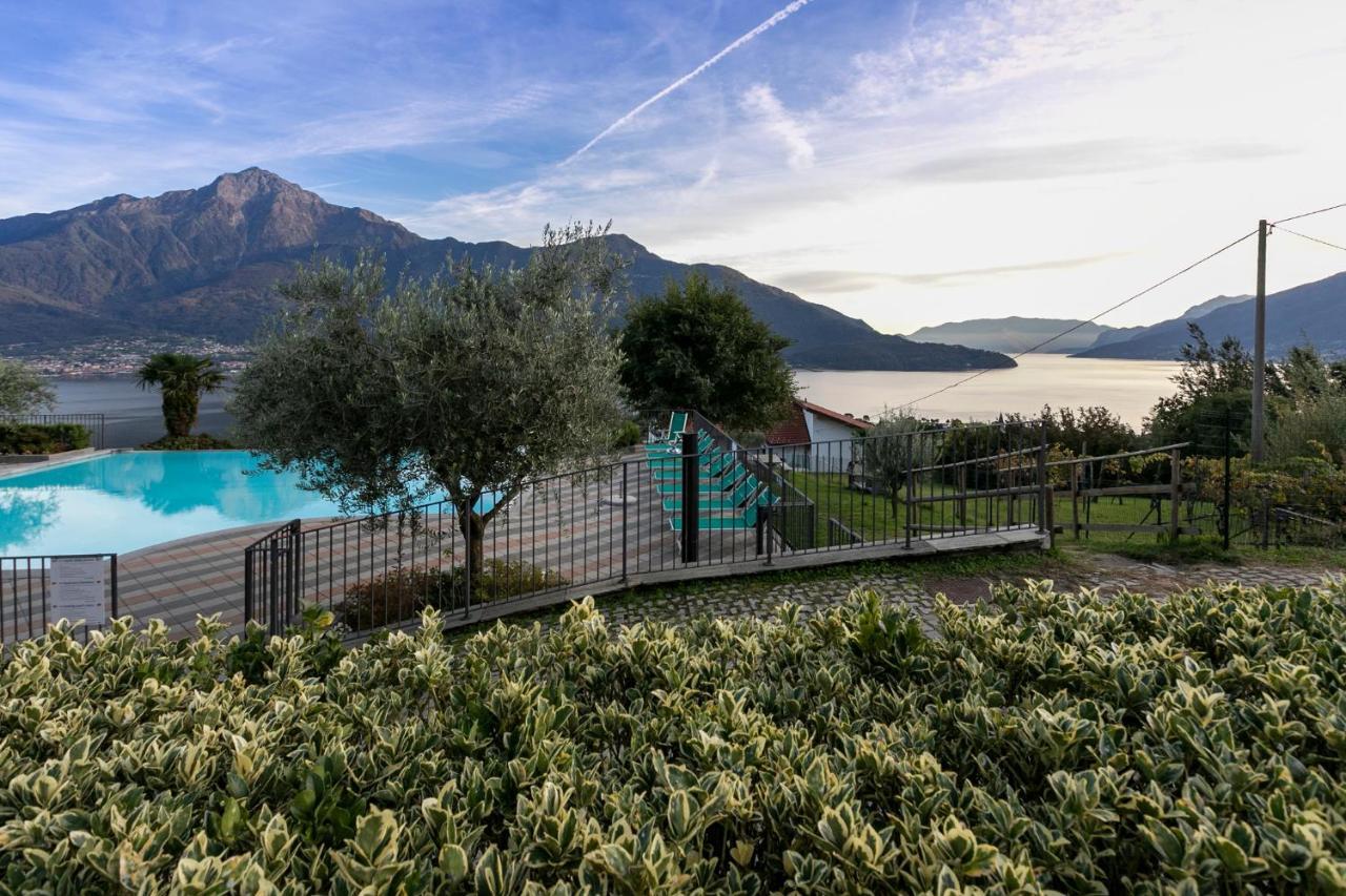 La Collina Degli Ulivi Apartment Vercana Bagian luar foto