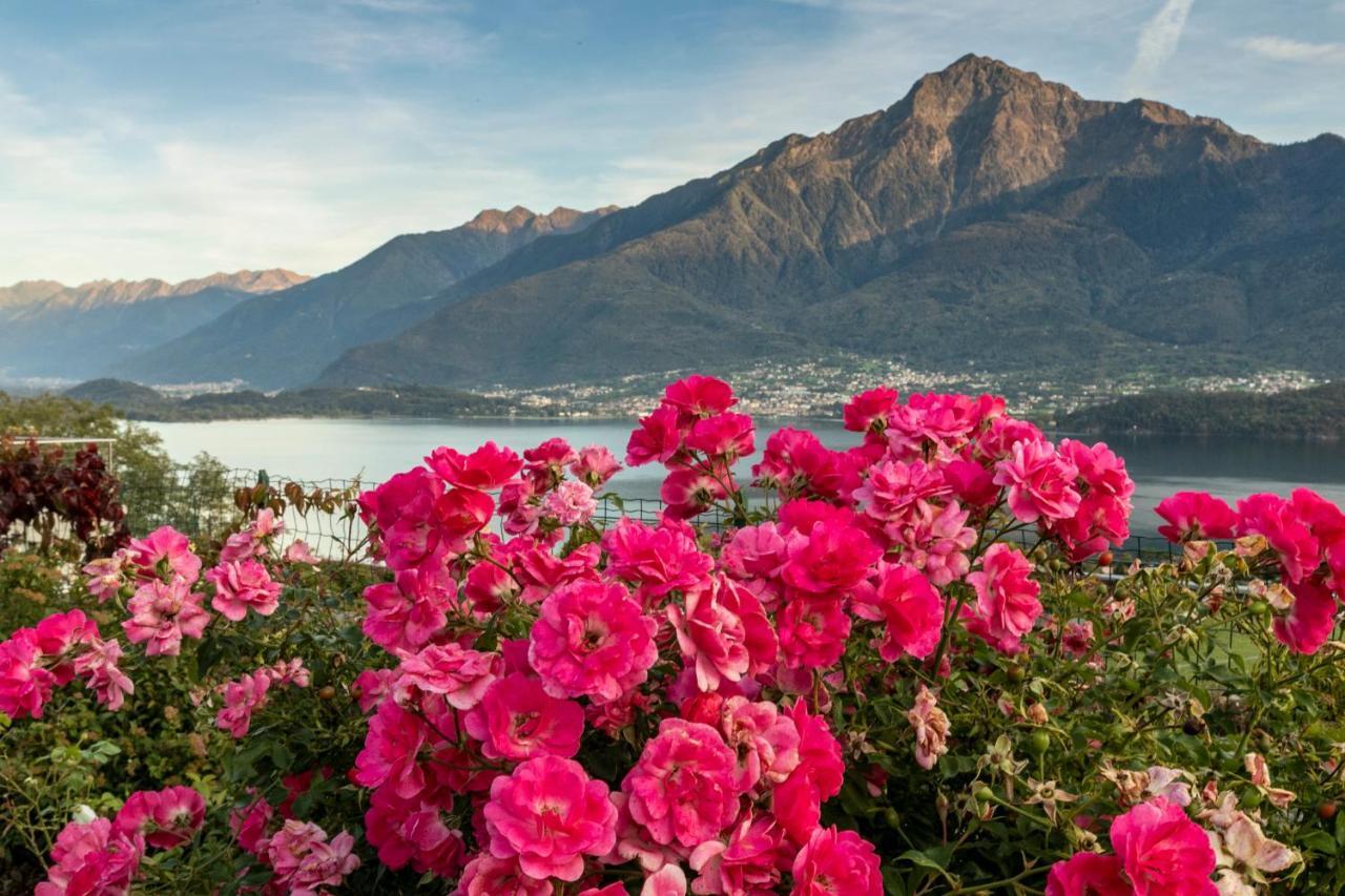 La Collina Degli Ulivi Apartment Vercana Bagian luar foto