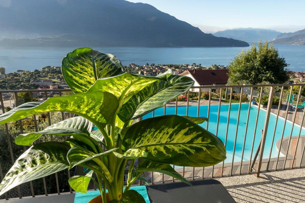 La Collina Degli Ulivi Apartment Vercana Bagian luar foto
